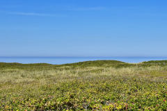 IMG_0617_Ferienwohnung-Sylt-Wenningstedt_2022