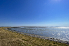 IMG_0648_Ferienwohnung-Sylt-Wenningstedt_2022
